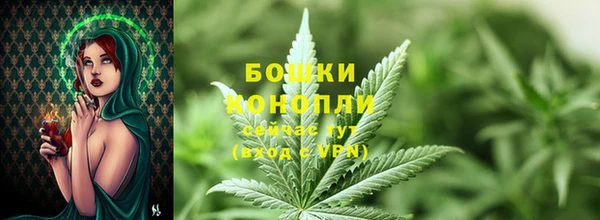 ПСИЛОЦИБИНОВЫЕ ГРИБЫ Снежногорск