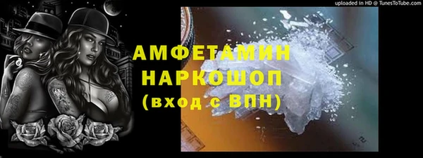 индика Бородино