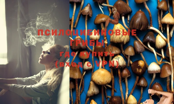 крисы Аркадак