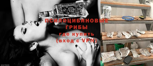 молекула духа Армянск