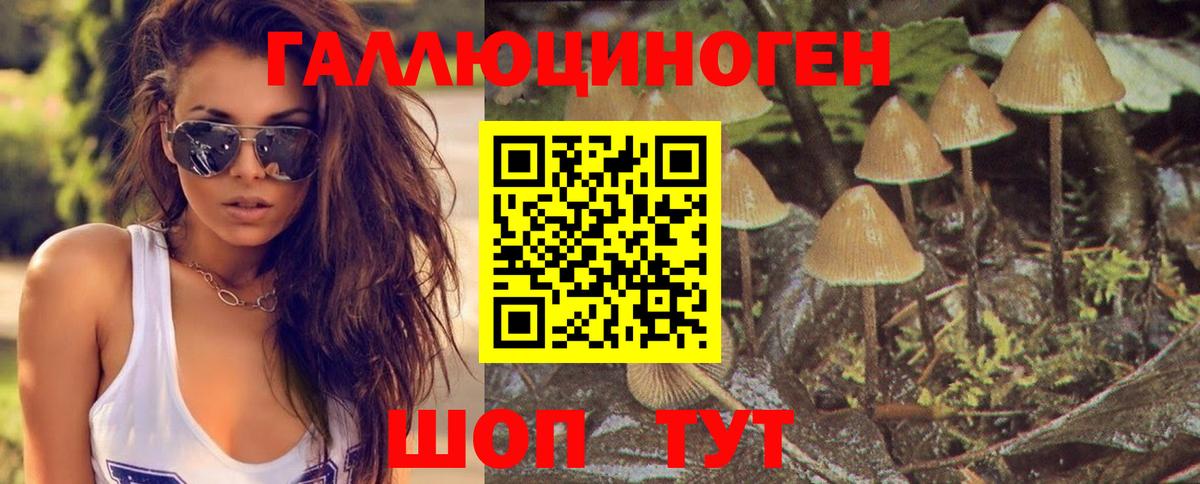 Псилоцибиновые грибы ЛСД  Вход с VPN  Новодвинск 