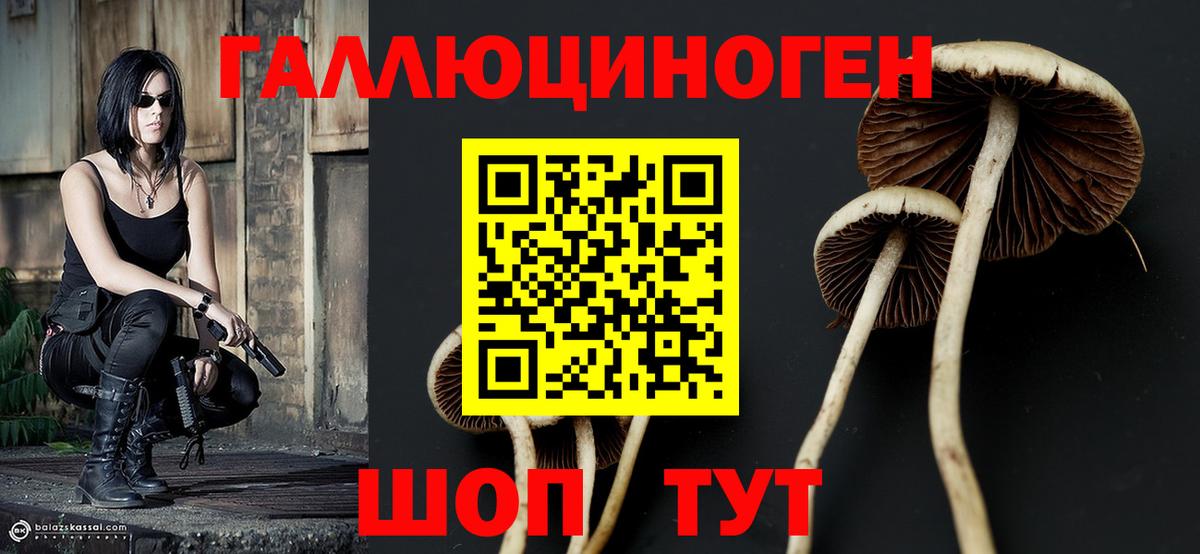 Псилоцибиновые грибы мицелий Новодвинск